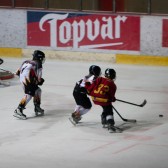 Topolcany_2011_pripreme_0190