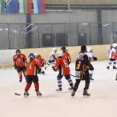 Image_06